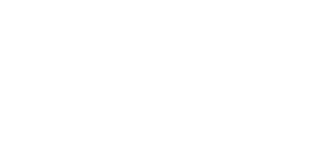 Dunfermline District Scouts logo — web design case study by Euan Livingstone