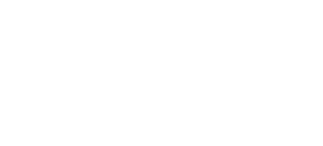 2nd Fife Scouts logo — web design case study by Euan Livingstone